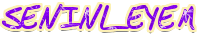 Nik