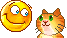 .hn128.